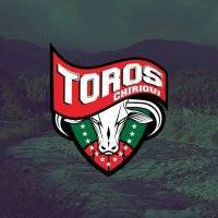 TorosDeChiriqui